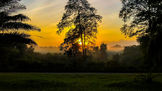 What Does a Sunday Morning Sound Like?