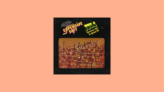 Fela Kuti – Expensive Shit (1975)