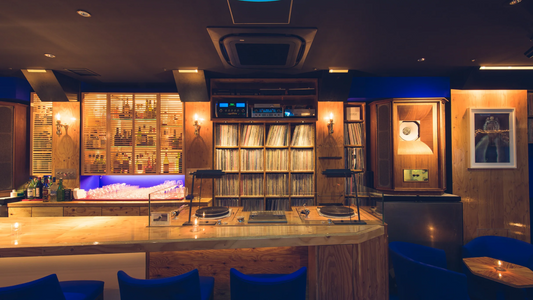 Velvet Nights and Vinyl Reveries in Ginza