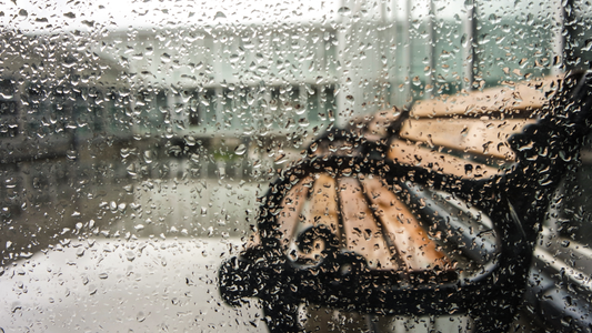 The Gutter, the Drip, and the Dawn — Sunday Listening with Melody Nelson