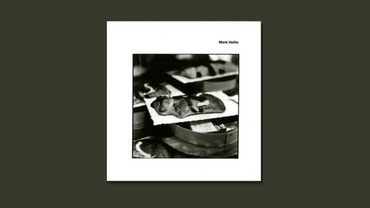 マーク・ホリス — 『マーク・ホリス』（1998年）