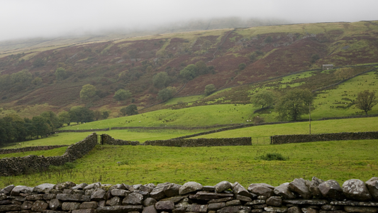 音の前の一瞬の静寂――元日の聴き方