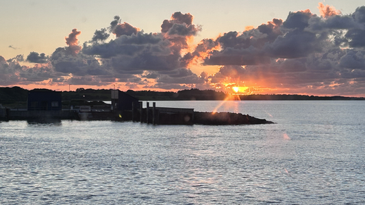 Struer Listening Bars — Sound Heritage, Nordic Calm, Coastal Resonance — Tracks & Tales Guide