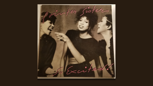 指针姐妹乐队 ——《I’m So Excited》（1982）