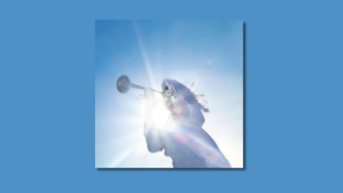 ガチョウ — 殺される (2025)