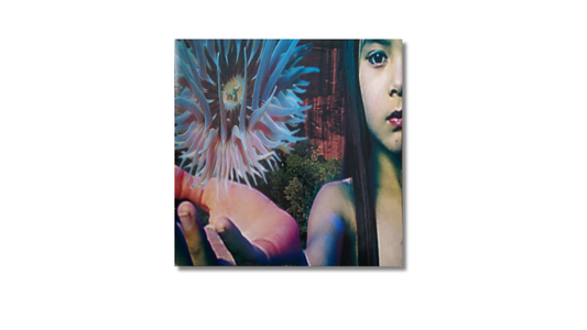 Future Sound of London — Lifeforms (1994)