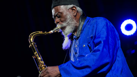 法罗·桑德斯在《造物主自有宏图》中所表达的含义