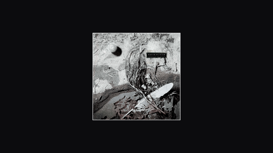 《蜂巢的秘密》——大卫·西尔维安（1987）