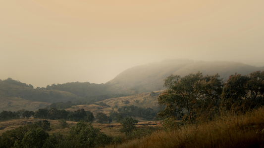 Four in the Morning — And the Quiet Shape of What’s Forming