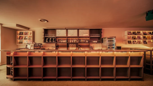 New Forms — Chelsea’s Frequency of Calm