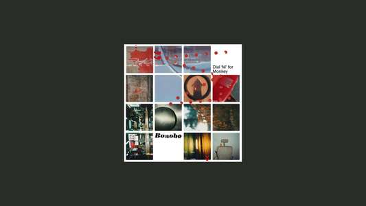 拨“M”键，呼唤猴子——《黑猩猩》（2003）