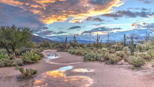 Goodyear Listening Bars — Desert Horizons, Evening Light, Sonoran Rhythm — Tracks & Tales Guide