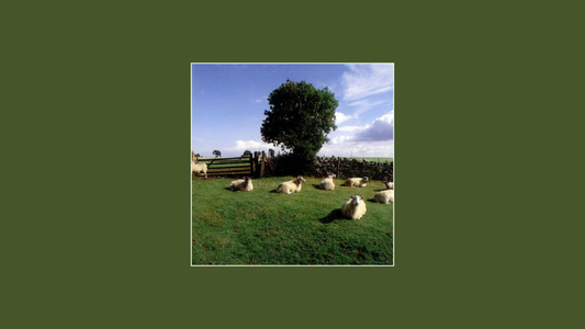 『Chill Out — The KLF and the Sound of a Journey Through the Night』（1990年）