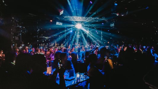 The Sound Room: Le Poisson Rouge’s Audiophile Hideaway