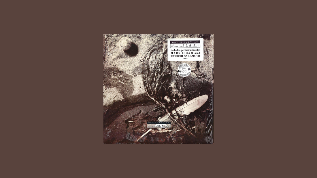 大卫·西尔维安——《蜂巢的秘密》（1987）