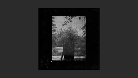 グルーパー – 『Ruins』（2014年）