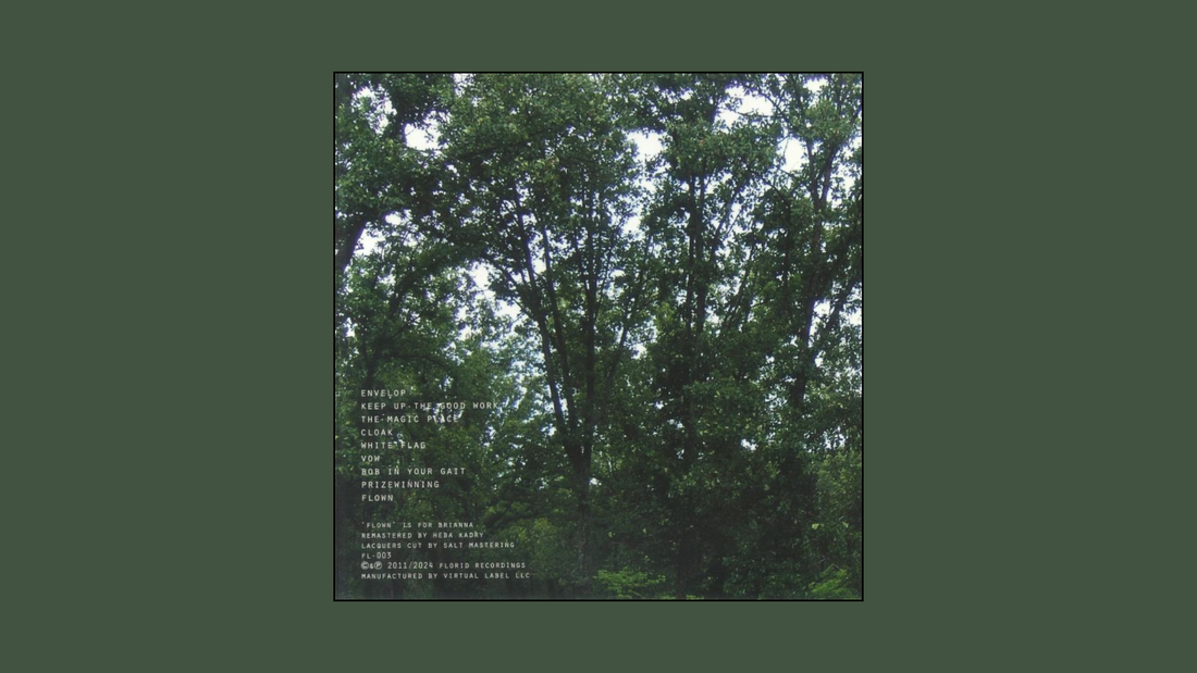 Julianna Barwick – The Magic Place (2011)