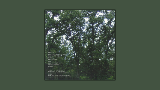 ジュリアナ・バーウィック – 『ザ・マジック・プレイス』（2011年）