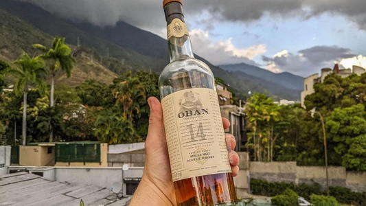 Whisky in the Listening Bar — Spirit and Sound